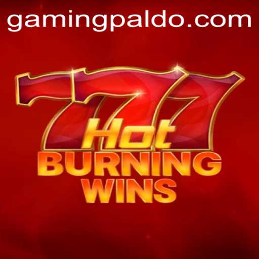 Exploring the Thrills of HotBurningWins with PALDO